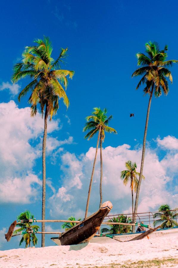 Palm Tree Villa Nungwi Bagian luar foto